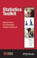 bokomslag Statistics Toolkit