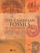 bokomslag The Cambrian Fossils of Chengjiang, China