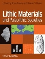 bokomslag Lithic Materials and Paleolithic Societies