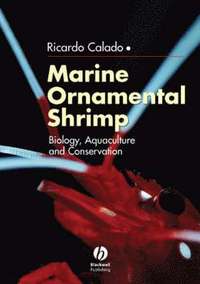 bokomslag Marine Ornamental Shrimp