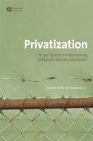 bokomslag Privatization