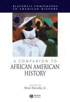 bokomslag A Companion to African American History