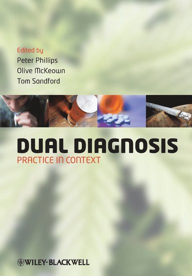 bokomslag Dual Diagnosis