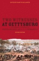 bokomslag Two Witnesses at Gettysburg