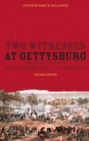 Two Witnesses at Gettysburg