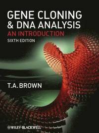 bokomslag Gene Cloning and DNA Analysis: An Introduction, 6th Edition