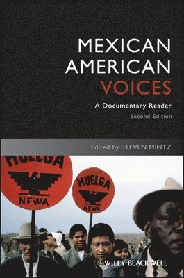 Steven Mintz - Mexican American Voices, Häftad