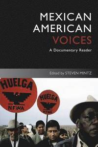 bokomslag Mexican American Voices
