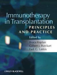 bokomslag Immunotherapy in Transplantation