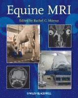 bokomslag Equine MRI