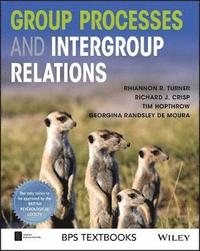 bokomslag Group Processes and Intergroup Relations