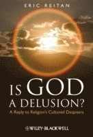 Is God A Delusion? 1