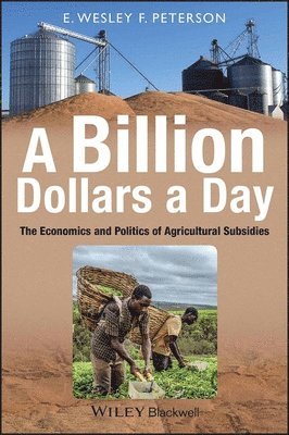 E. Wesley F. Peterson - Billion Dollars a Day, Häftad