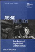bokomslag Arsenic Pollution