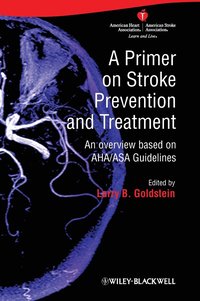 bokomslag A Primer on Stroke Prevention and Treatment