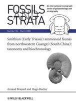 Arnaud Brayard, Hugo Bucher - Smithian (Early Triassic) ammonoid faunas from northwestern Guangxi (South China), Häftad