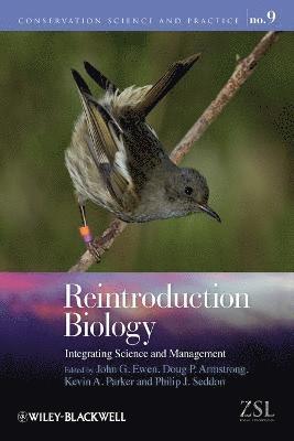 John G. Ewen, John G. Ewen, Doug P. Armstrong, Kevin A. Parker, Philip J. Seddon - Reintroduction Biology, Häftad