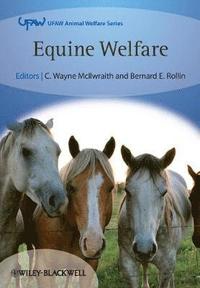 bokomslag Equine Welfare