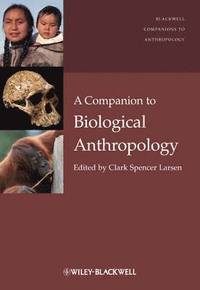 bokomslag Companion to Biological Anthropology
