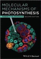 bokomslag Molecular Mechanisms of Photosynthesis