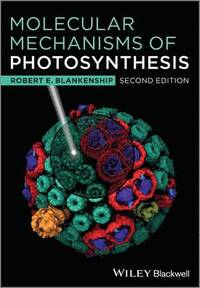 bokomslag Molecular Mechanisms of Photosynthesis
