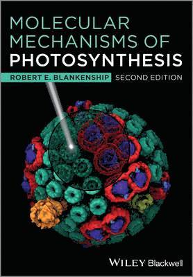 Molecular Mechanisms of Photosynthesis 1
