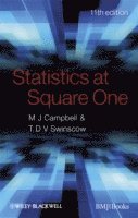 bokomslag Statistics at Square One