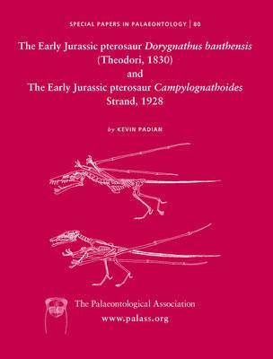 bokomslag The Early Jurassic Pterosaur Dorygnathus Banthensis (Theodori, 1830) and the Early Jurassic Pterosaur Campylognathoides Strand, 1928