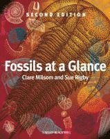 bokomslag Fossils at a Glance
