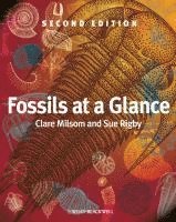 Fossils at a Glance 1