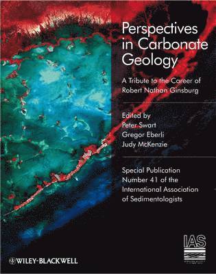 bokomslag Perspectives in Carbonate Geology
