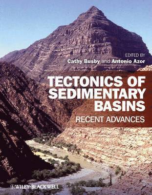 bokomslag Tectonics of Sedimentary Basins