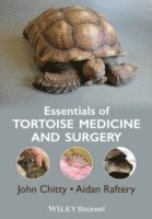 bokomslag Essentials of Tortoise Medicine and Surgery