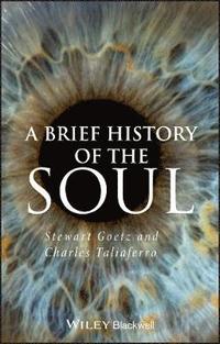 bokomslag A Brief History of the Soul