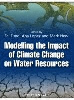 C. Fai Fung, Ana Lopez, Mark New - Modelling the Impact of Climate Change on Water Resources, Inbunden