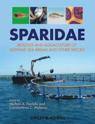 Sparidae 1