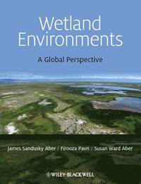 bokomslag Wetland Environments