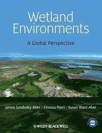 bokomslag Wetland Environments
