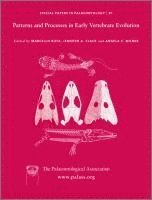 Ruta Marcello - Special Papers in Palaeontology, Patterns and Processes in Early Vertebrate Evolution, Häftad