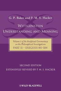bokomslag Wittgenstein: Understanding And Meaning