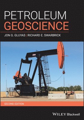 bokomslag Petroleum Geoscience