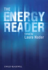 bokomslag The Energy Reader