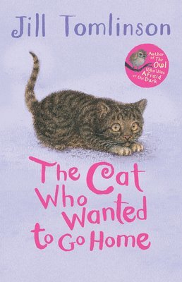 Cat Who Wanted to Go Home