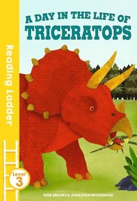 bokomslag A day in the life of Triceratops