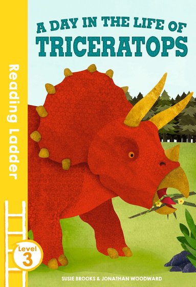 Susie Brooks - day in the life of Triceratops, Häftad
