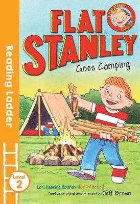 bokomslag Flat Stanley Goes Camping