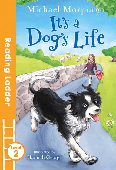 Michael Morpurgo - It's a Dog's Life, Häftad