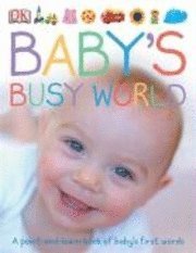 bokomslag Baby's Busy World