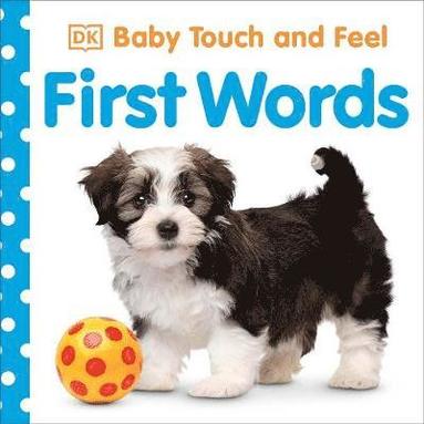 bokomslag Baby Touch and Feel First Words