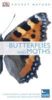 bokomslag Butterflies and Moths
